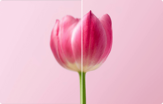 Photo enhancer unblurs your image